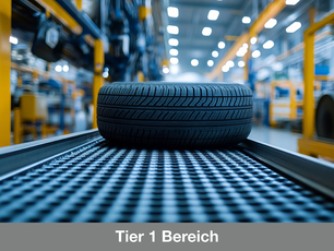 Tier1Segment_grau_DE